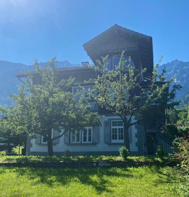 Chalet Mignon - Your Vacation Oasis At Lake Brienz Bönigen Eksteriør billede