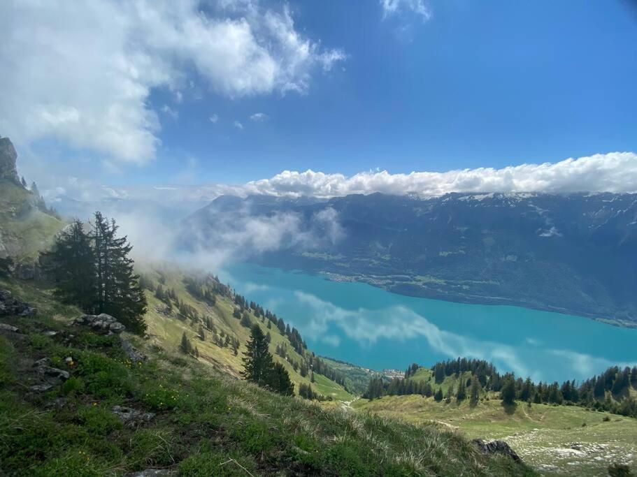 Chalet Mignon - Your Vacation Oasis At Lake Brienz Bönigen Eksteriør billede