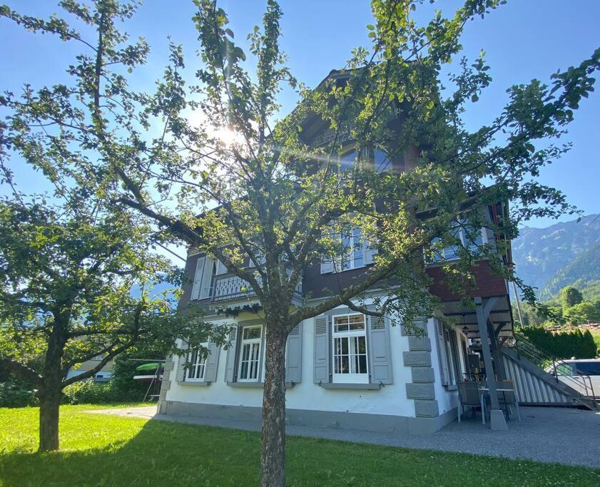 Chalet Mignon - Your Vacation Oasis At Lake Brienz Bönigen Eksteriør billede